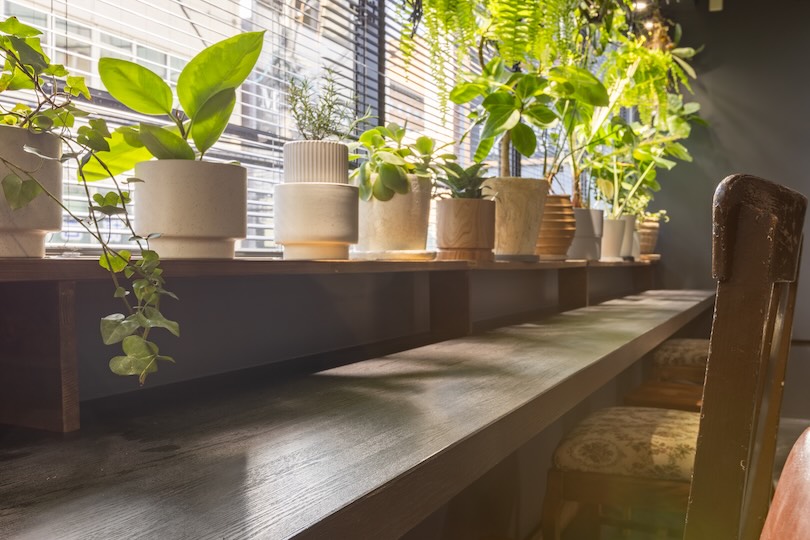 CafefleurLOUNGE心斎橋