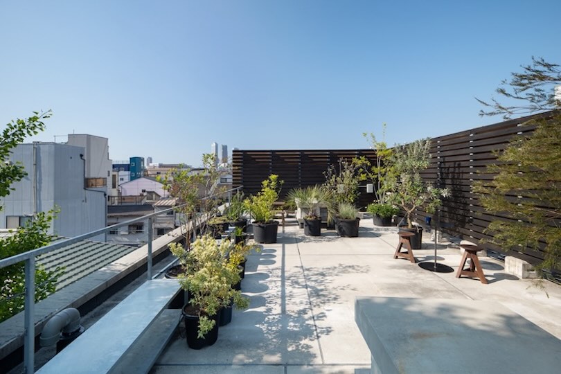 植物が豊富な屋上スペース