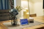 IKIDANE Residential Hotel 島之内