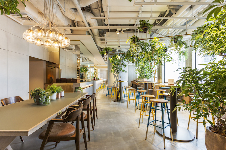 ワンダーランドファクトリー　[休憩] ワンダーランドファクトリー [休憩] ワンダーランドファクトリー [休憩