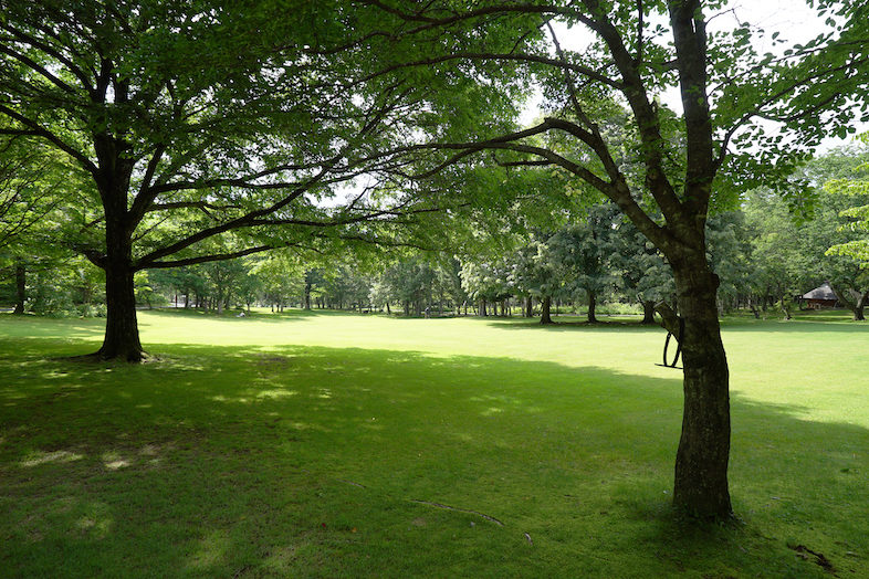 八ヶ岳自然文化園 公園エリア Shootest