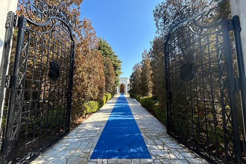 【ガーデン】直線距離50mの青絨毯付きアプローチ