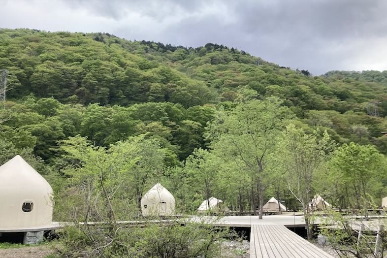 DOAI VILLAGE -キャンプエリア-｜春は緑の木々が揺れるキャンプ場で、穏やかなまったりとした雰囲気を演出