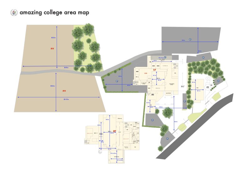 amazing college