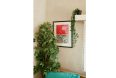 846apartment / 2F