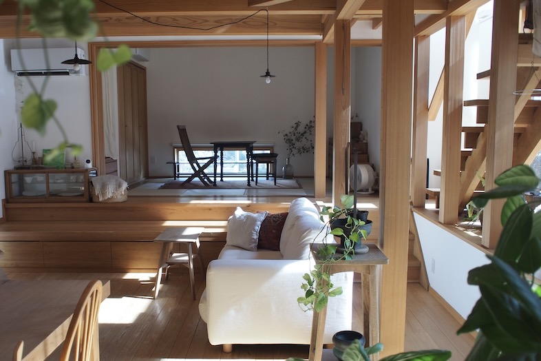 木のいえ kashiwa｜【1F】植物は人気のビカクシダ、アガベ、パキポディウムなどの多肉植物あり