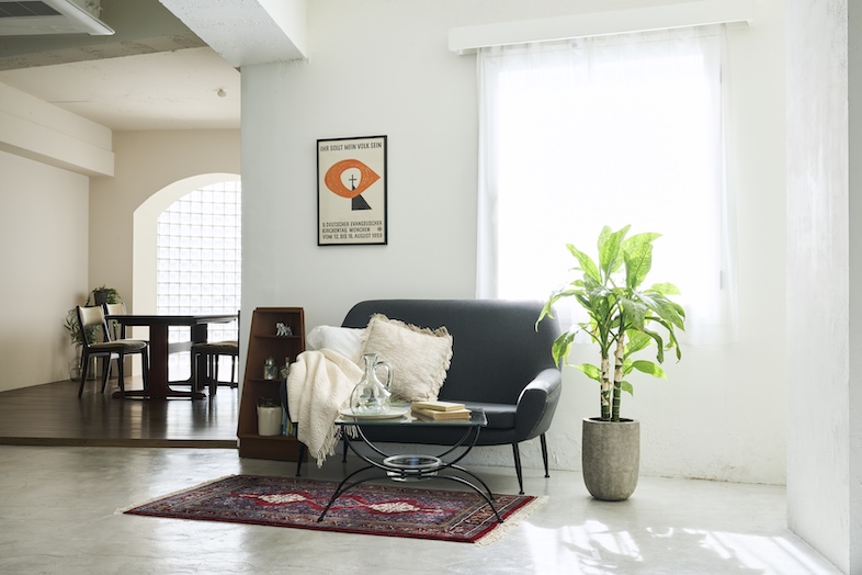 studio SPINDLE｜【WHITE MOETAR FLOOR】アンティーク家具や植物もあるのでライフスタイルシーンの撮影も可能（昼過ぎより直射日光）