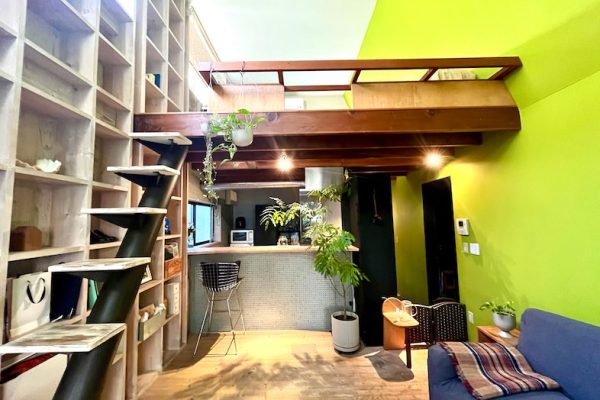 【2Fリビング】キッチンや2階吹き抜けなどを引きで撮影することも可能