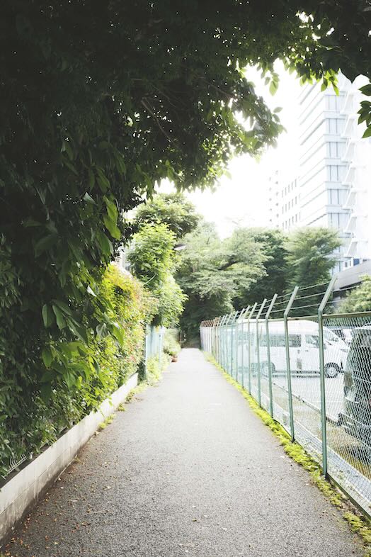 周辺緑道