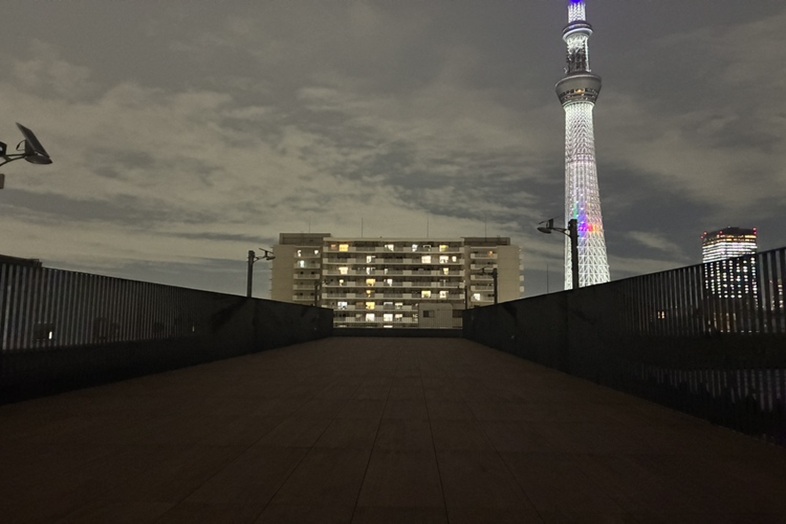 すみだパークレンタルスペース屋上｜夜景に浮かぶスカイツリー