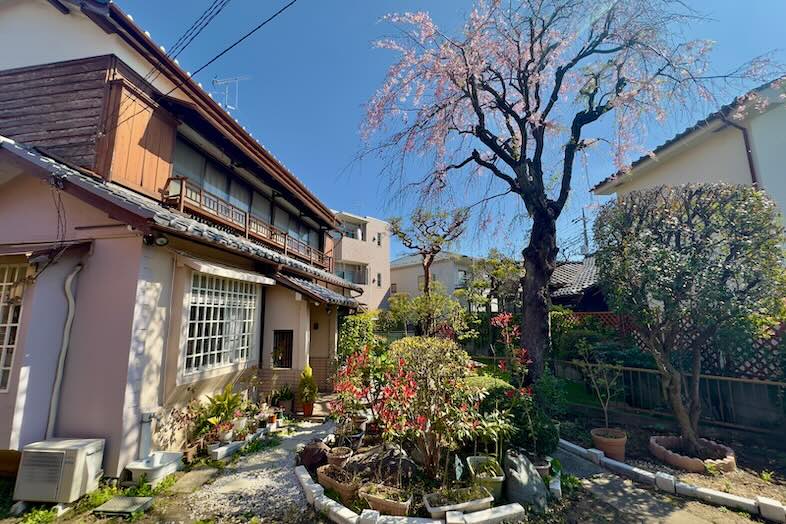 外観・桜