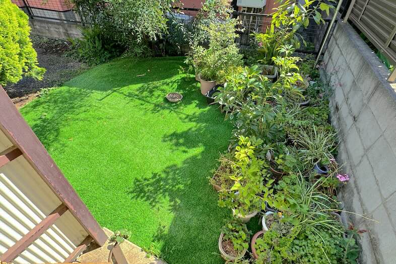 さまざまなタイプの植物もございます