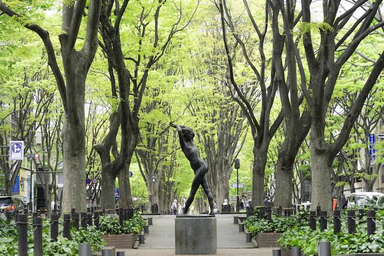 Aスタジオ 大町｜ケヤキ並木が美しい定禅寺通り。車で約8分、四季折々の表情が楽しめます。