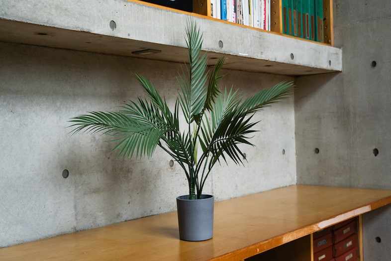 植物の撮影利用可（造花）