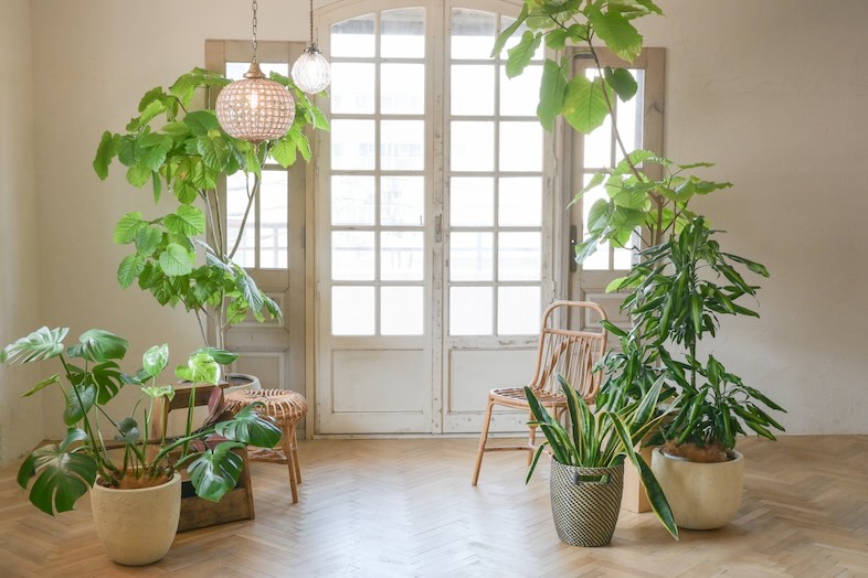 studio Ninie｜対談・インタビュー撮影におすすめ！二面から自然光が入る『撮影スタジオ』