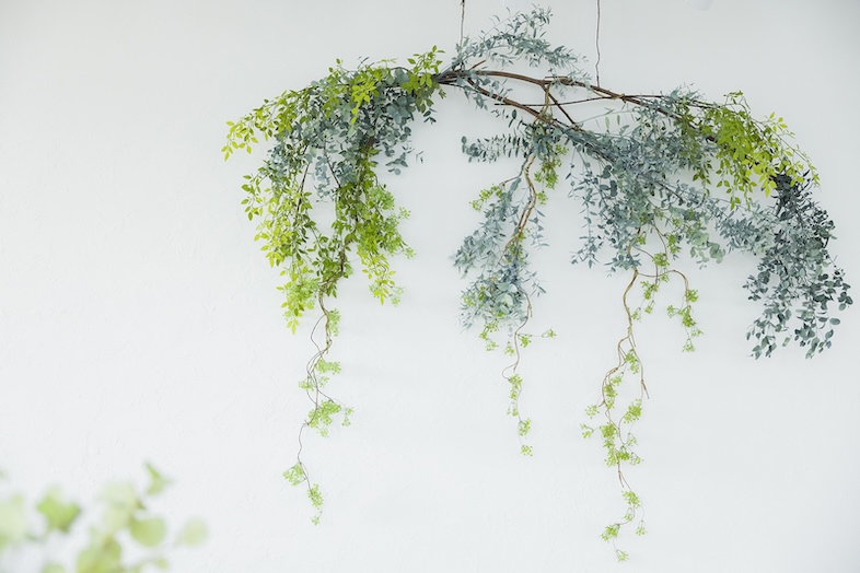 スタジオマド小岩｜【2F】可動式グリーンウォール撤去可能