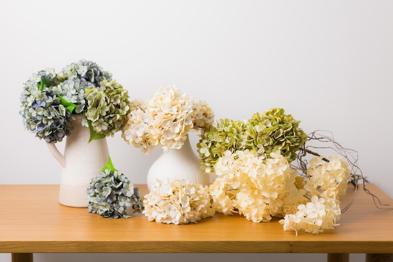 スタジオマド小岩｜【備品】ドライフラワー