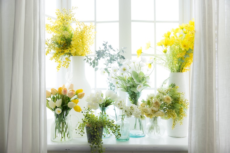 スタジオマド小岩｜【備品】物撮りカットに彩をプラスする植物