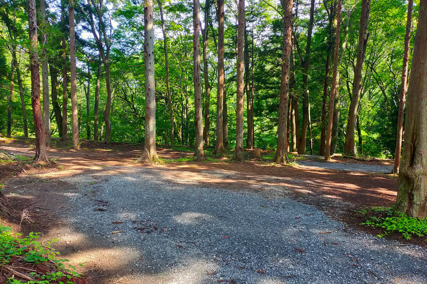 特集タグ: <span>ロケ撮影</span>