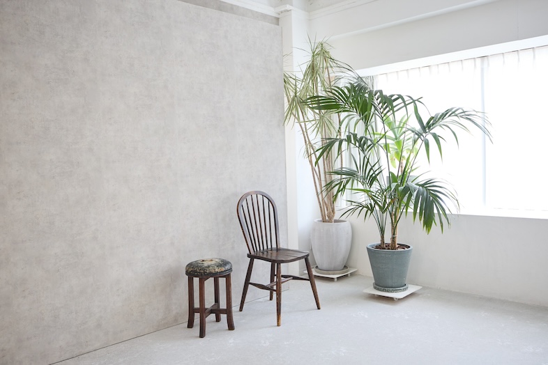 NU studio｜植物やアンティークチェアを置いてインタビューにも