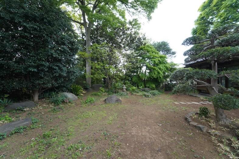 森のような雰囲気の庭
