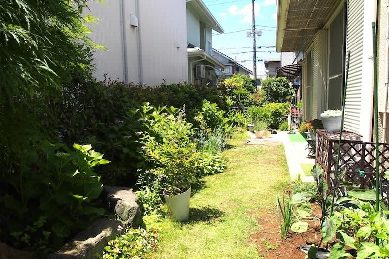 Family Studio Kashiwa｜【1F】花がふんだんに順番に咲く庭