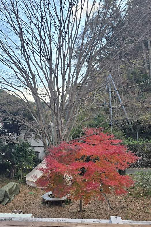 Art of Life 山の音｜四季折々の自然に囲まれたロケーションで、季節感あふれるシーンに