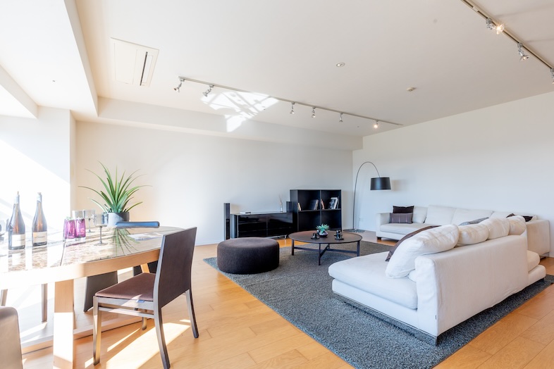 GOBLIN.お台場BLDG店 -HOUSE- #1216｜リビング/ダイニングそれぞれでの撮影が可能