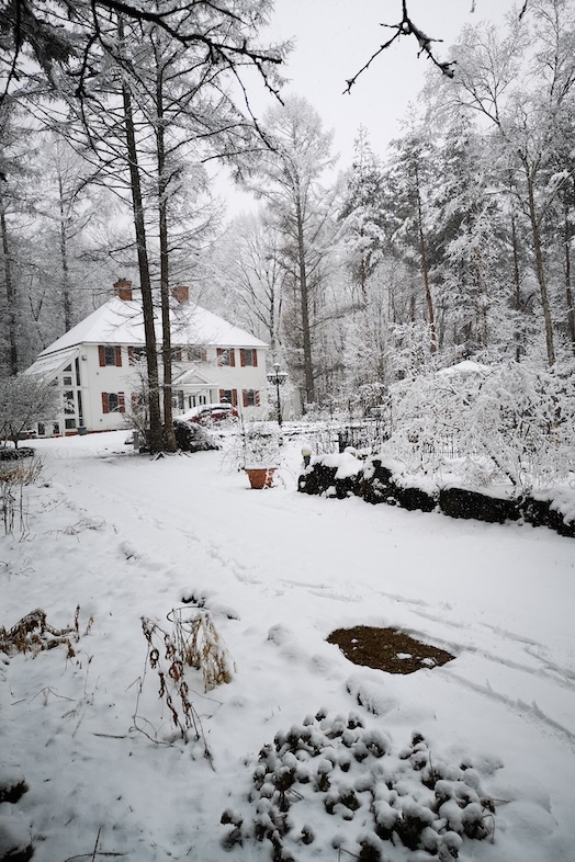 THE GARDEN｜雪山の山荘のような邸宅は映画のロケ地級のスケールカットが撮れる