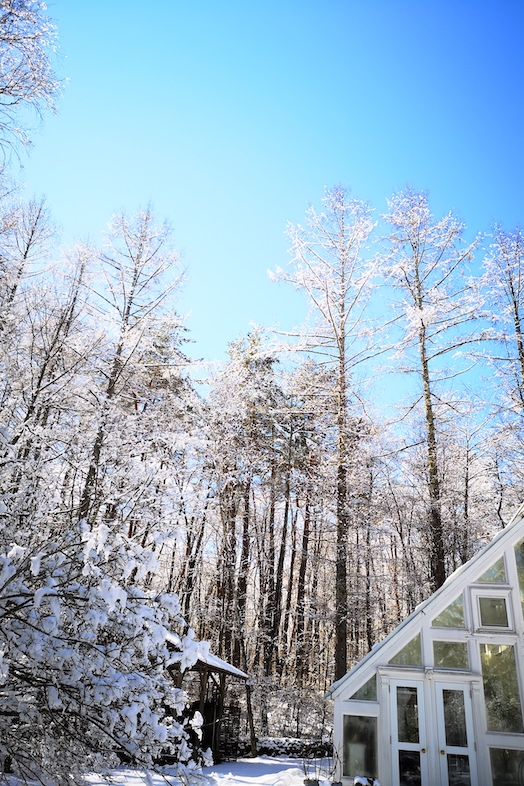 THE GARDEN｜ヨーロッパの森のような非日常感を演出できる