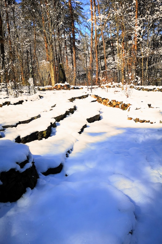 THE GARDEN｜積雪の庭園