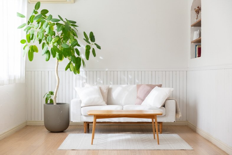 maison de blanc｜板腰壁は撮影のアクセントに