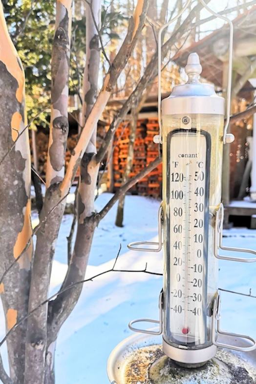 THE GARDEN｜異国の庭園のようなアンティーク調の温度計が佇むエントランス