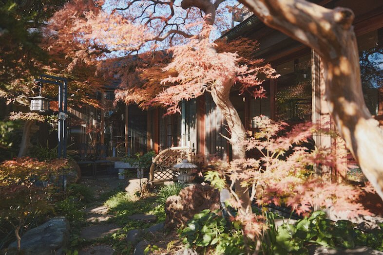出汁　北千住古民家｜【庭】紅葉が映える庭