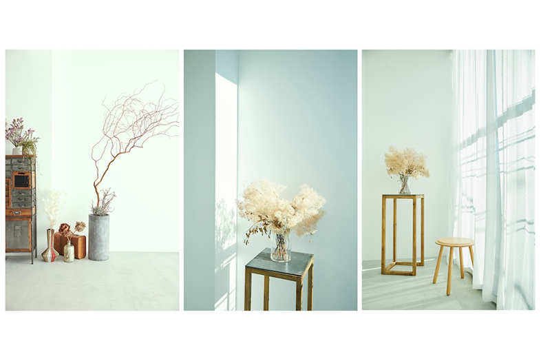 TAO STUDIO toda｜【撮影例】