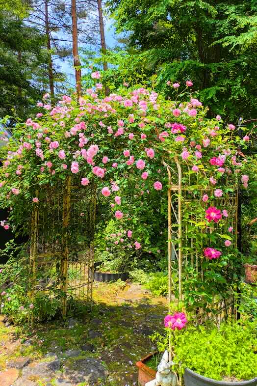 【ガーデン】1000坪の薔薇の庭