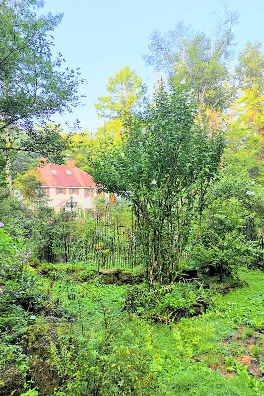 【ガーデン】植物に囲まれた建物
