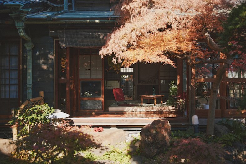出汁　北千住古民家｜【庭】季節を主役にしたイメージカットやCM撮影に