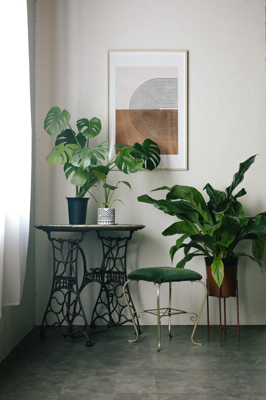 HUDSON STUDIO & GARDEN｜【1Fstudio】観葉植物茂るグリーンなくつろぎ空間