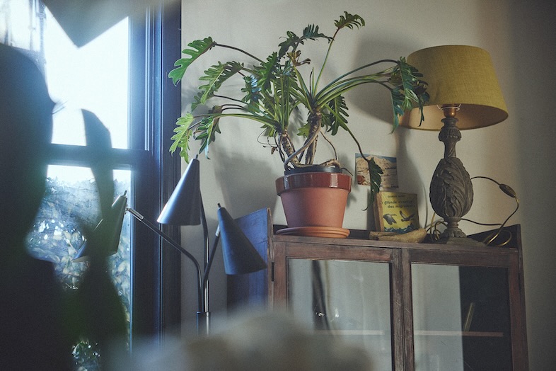 studio PHOME｜【1F】グリーン系、ナチュラルコスメ、ライフスタイルブランド、暮らしの一コマの撮影に