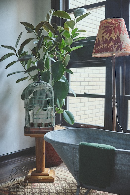 studio PHOME｜【1F】ナチュラル・ボタニカル系ブランドの撮影に