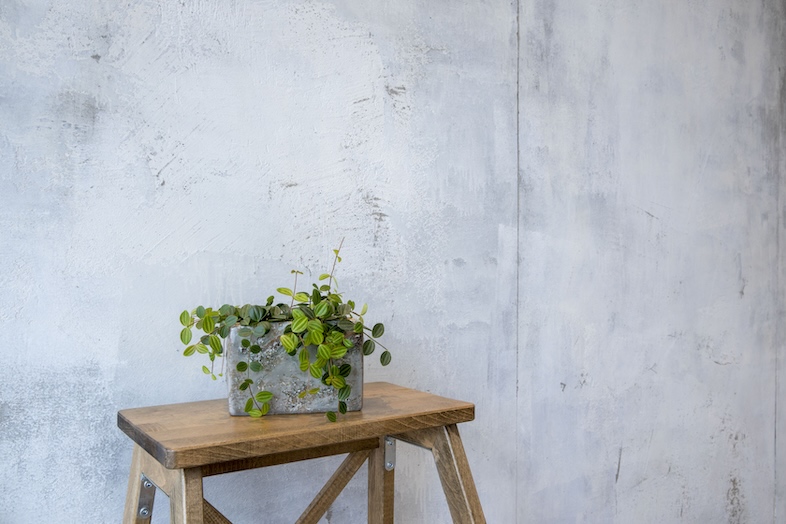 Studio 5th NAKAMEGURO｜観葉植物とチェアなどを活用すればライフスタイル撮影も可能