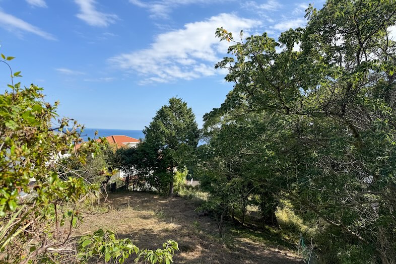 海彩テラス熱海別邸｜【敷地内の森】海を望む開放的な眺めが広がるので、ナチュラル撮影やリトリート系のプロモ撮影に最適