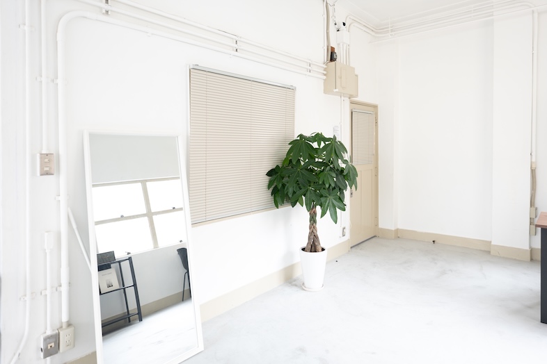 Studio by Avvolto｜ナチュラルで明るい背景に、観葉植物が映える空間