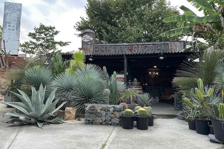 EGT｜建物と植物を背景にアパレル商品撮影やMV撮影に