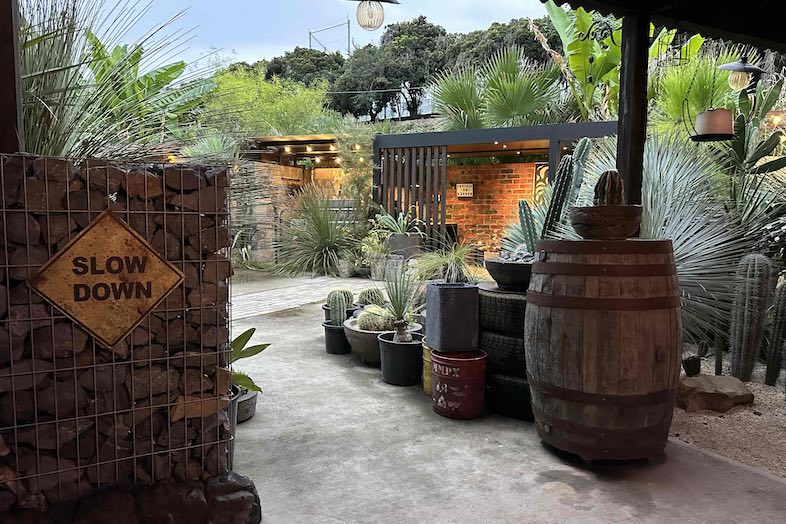 EGT｜様々な種類のサボテン