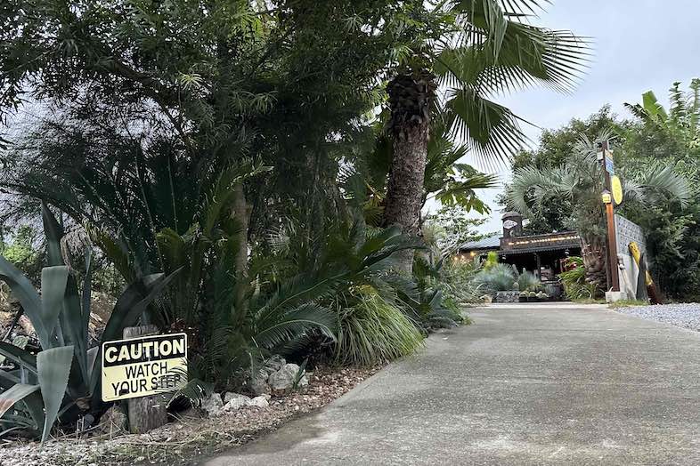 EGT｜存在感のある木々に囲まれた入り口