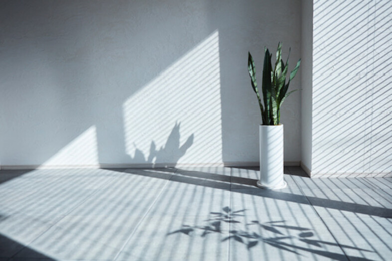 STUDIO CHILL｜白壁に落ちる植物と格子状の影が爽やかな物撮り背景に