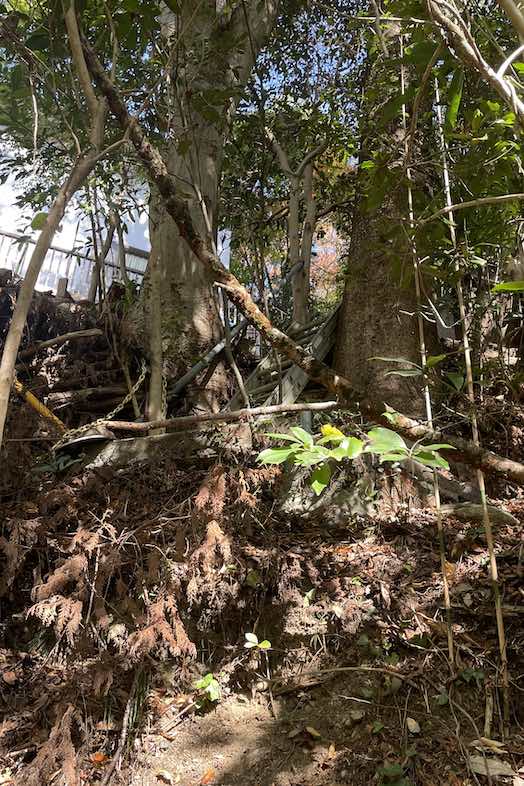 unbox okuōme｜川へ下る際のはしご