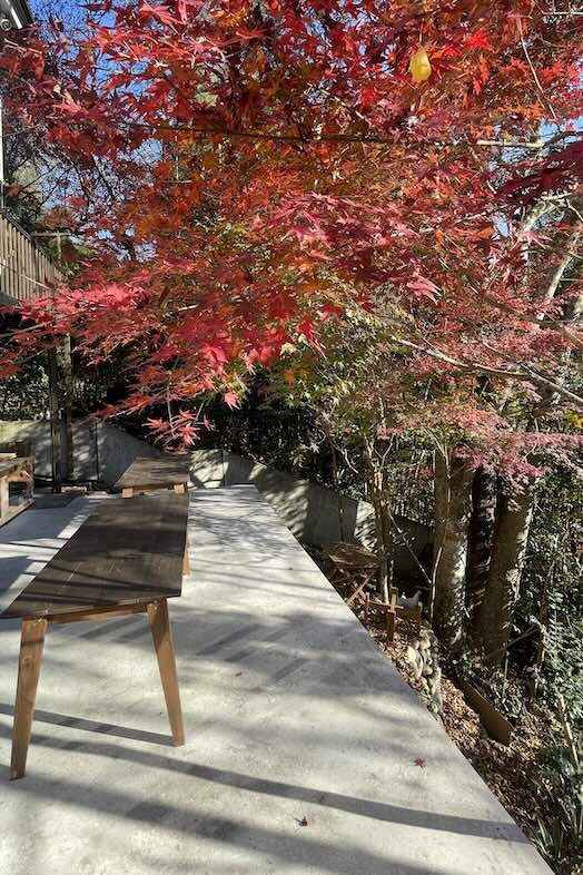 unbox okuōme｜季節イメージ：秋（撮影日11/28）